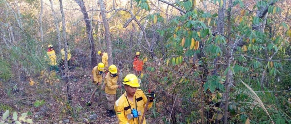 incendio-robore-viceministro-de-defen_101-9927165_20240911131417