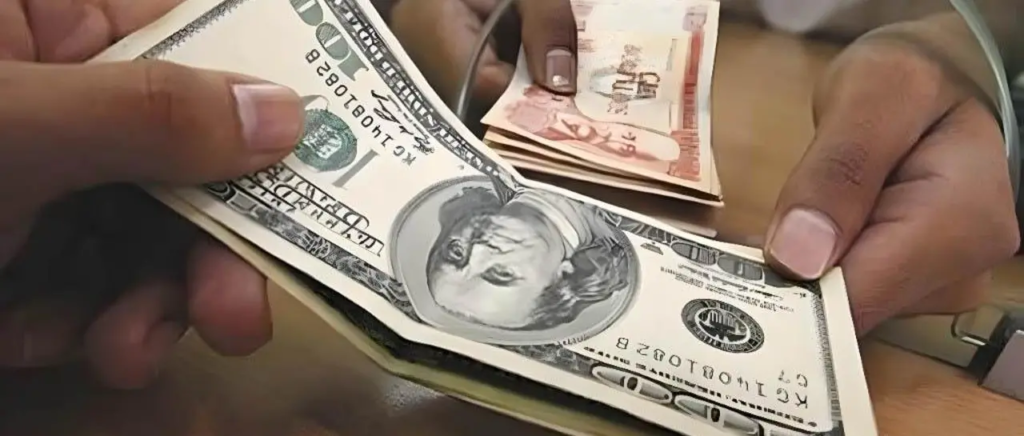 dolar-digital_101-12380477_20250702140800